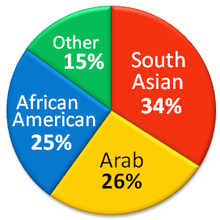 the largest ethnic groups of american muslims are those of south