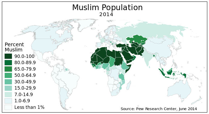 欧路词典|英汉-汉英词典 islam by country是什么意思