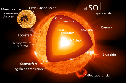 el centro del sol hasta alrededor de 0,2 a 0,25 radios solares