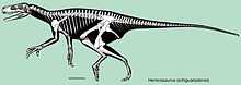 herrerasaurus