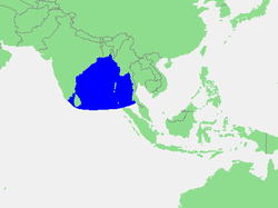 孟加拉湾在印度洋的位置