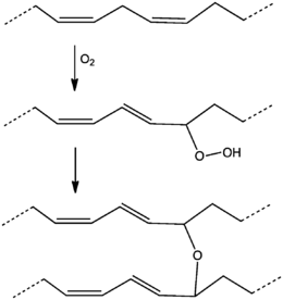 step是什么意思(attention是什么意思)