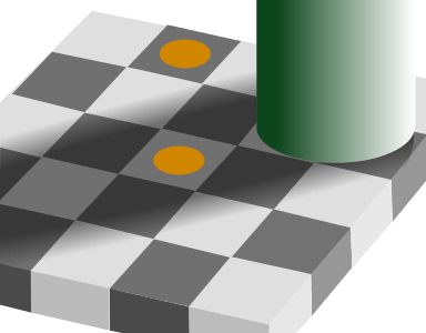 The upper disk and the lower disk have exactly the same objective color, and are in identical gray surroundings; based on context differences, humans perceive the squares as having different reflectances, and may interpret the colors as different color categories; see checker shadow illusion.