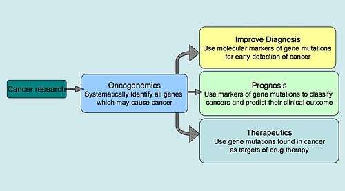 cancer is a genetic disease caused by accumulation of dna