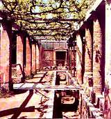 





Reconstitution d'une vigne sur pergola dans le nymphée de la maison d'Octavius Quartion à Pompéi
