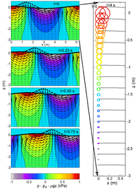 Onde d'Airy d'une période de 2 secondes par 3 mètres de fond. À gauche : vitesses et variations de pression, à droite trajectoire de particules pendant 4 secondes.