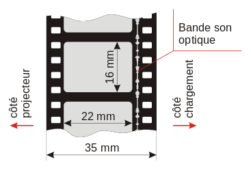 Schéma d'un film 35 mm sur une image. On distingue les deux rangées de perforations aux extrémités de la pellicule.