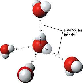 Modèles des liaisons hydrogène de l'eau