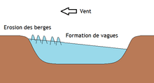 Ce schéma montre comment les vents peuvent former des vagues à la surface d'un lac, et comment le vent pousse les eaux sur les berges.