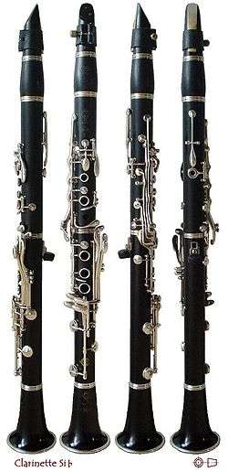 Une clarinette sous tous les angles.