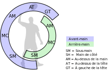 Les principaux coups.