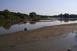 Les alluvions d'un cours d'eau sont visibles sur le bord