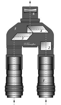 Tête binoculaire
1 - Oculaire 2 - Compensation slide 3 - Prism 4 - Beam splitter 5 - Body 6 - Barlow lens