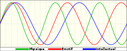 Une représentation graphiques des biorythmes principaux à partir de la naissance à 66 jours