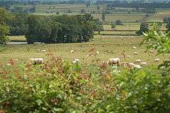 Bocage du Berry, commune de Coust (Cher)