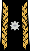 Insigne du grade de brigadier de l'armée suisse