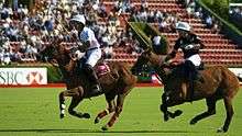 Championnat d'Argentine open de polo