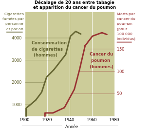 La consommation de cigarettes et l'apparition du cancer du poumon dans la population adulte sont étroitement corrélés.