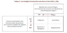 AMIN  A. (2012). Stratégies identitaires et stratégies d’acculturation : deux modèles complémentaires. Alterstice, 2(2), p. 108