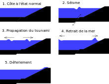 Fig. 1 - Vie d'un tsunami : création par un séisme, propagation et déferlement sur les côtes