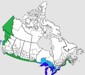 Divisions de recensement au Canada.