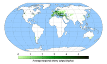 Production moyenne régionale de cerises (University of Minnesota Institute).