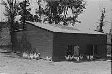 Poulailler en bois (Texas, 1939).