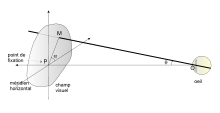 (fig. 2) Tout point M perçu dans le champ visuel est repéré par la droite partant du centre optique de l’œil O et passant par ce point M. Deux angles suffisent à repérer la droite OM :
- l'angle visuel θ est l'angle fait entre OM et l'axe optique de l’œil OP (passant par le point de fixation P et aboutissant au centre de la fovea)
- l'angle polaire α fait avec le plan « horizontal » dans le plan perpendiculaire passant par M