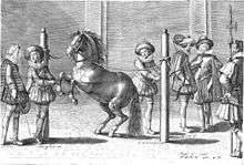 Courbette dans les piliers (L'instruction du roi en l'exercice de monter à cheval d'Antoine de Pluvinel - ed. 1625)