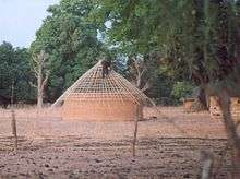 construction du toit d'une case, en Guinée