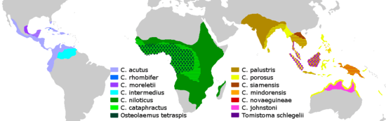 Distribution des crocodiles par espèces.