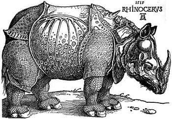 Le Rhinocéros de Dürer.