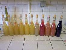 Échantillons de vins bruts après vinification (6 blancs, 1 vin de base crémant, 3 rosés, 1 rouge)