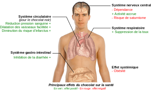 Effets du chocolat sur la santé.