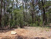 Une tombe naturelle dans l’Eloise Woods Community Natural Burial Park.