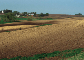 La mise à nu des sols et le labour répété causent en quelques années une disparition de l'humus. Les sols noirs deviennent ocre, perdent leur capacité à retenir et infiltrer l'eau, et deviennent plus sensibles à l'érosion.