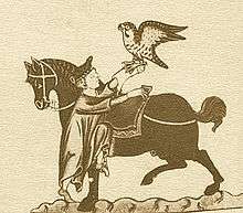 Illustration du traité de fauconnerie De arte venandi cum avibus