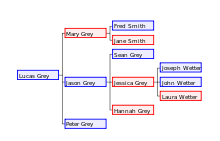 Exemple d'arbre de descendance de l'individu Lucas Grey.