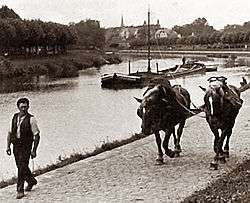 Un seul cheval tire des dizaines de tonnes sur l'eau, avec un effort modéré une fois la péniche lancée et en absence de vent contraire