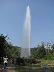 Le geyser d'Andernach (vallée du Rhin) est le plus haut geyser d'eau froide au monde.