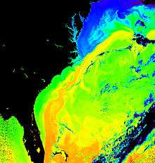 Le Gulf Stream (en orange et jaune) au large de la côte est des États-Unis (température en fausses couleurs)