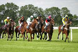 Course de plat sur l'hippodrome de Munich