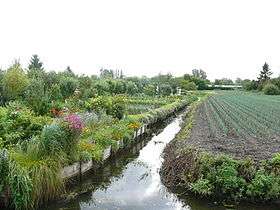 Hortillonnages d'Amiens.