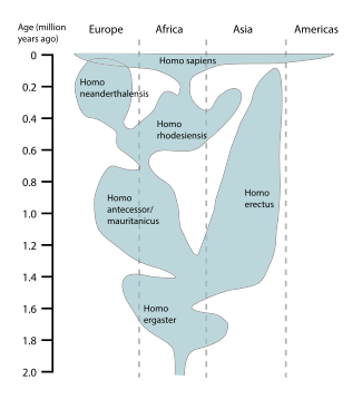 Une représentation de la distribution temporelle et géographique de populations du genre Homo[8]. D'autres interprétations diffèrent principalement dans la ta**nomie et la distribution géographique des espèces du genre Homo[9].