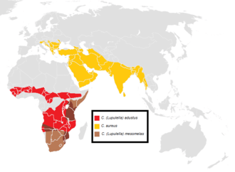 Répartition géographique