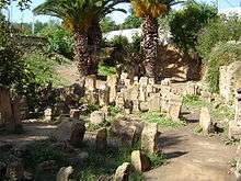 Vue d’une partie des stèles du tophet de Carthage
