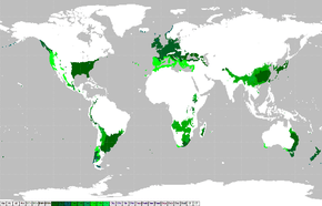 Zone tempérée chaude d'après Köppen ; vert clair : été sec, vert foncé : pas de saison sèche. Les régions tropicales faisant partie de cette zone sont des régions montagneuses.