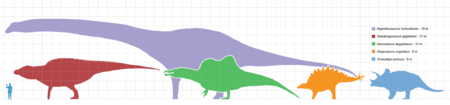 Taille des représentants les plus grands de chaque groupe de dinosaures comparée à celle d'un humain.
