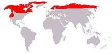 Carte de répartition de l'espèce dans le monde.