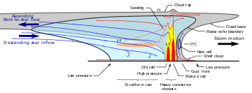 Vue en coupe verticale et horizontale des précipitations et de la circulation de l'air dans une ligne de grain